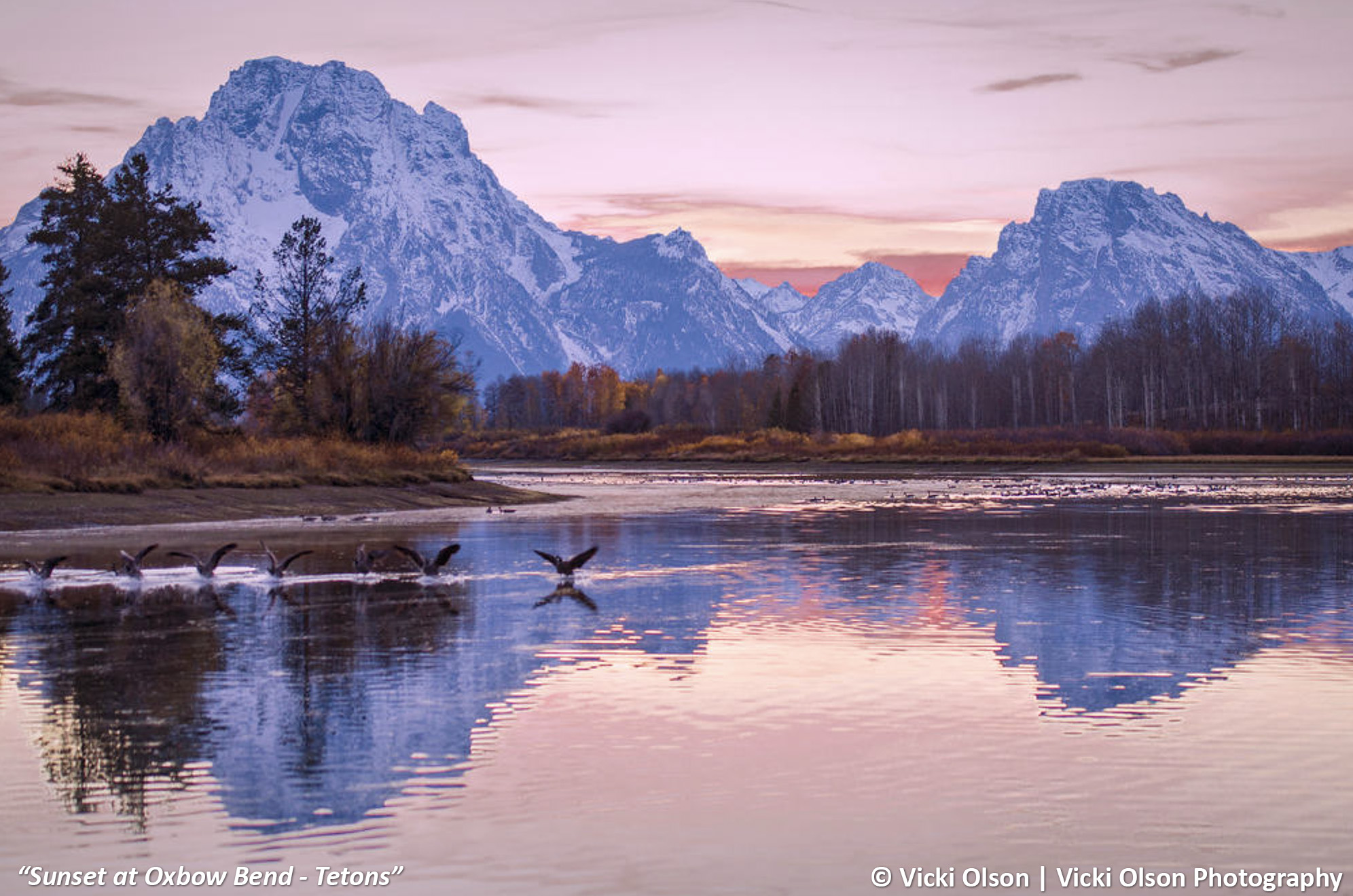 Article photo - Sunset at Oxbow Bend - Tetons - Vicki Olson