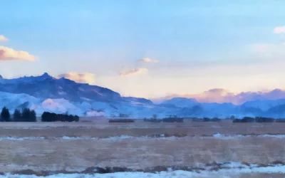 Featured Artist: Janet Jones