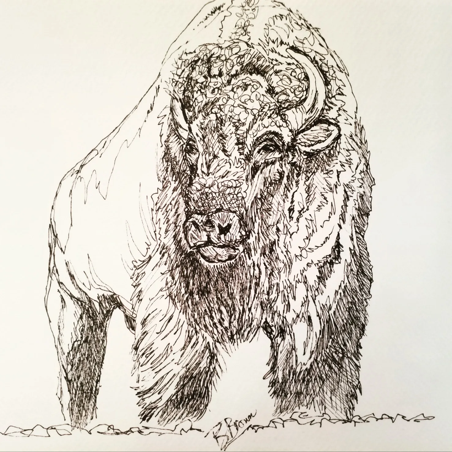 Basic Drawing Skills Cody Journal