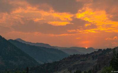 What to Do When Fire Comes