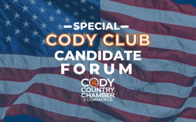 Why Your Voice Matters