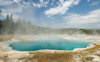 Abyss Pool Hotter Than in Over 30 Years