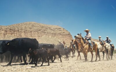 Reviving Our Roots: The Power of Local Food and Behavior Change