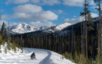 Visiting Yellowstone in Winter