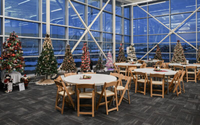 Bidding Ends Saturday for the Festival of Trees