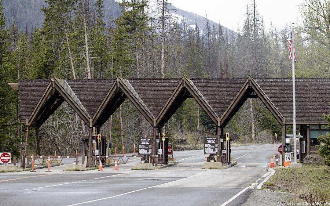 Webcams Coming to Yellowstone’s East Gate