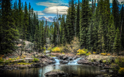 The Story Behind “Tranquility”