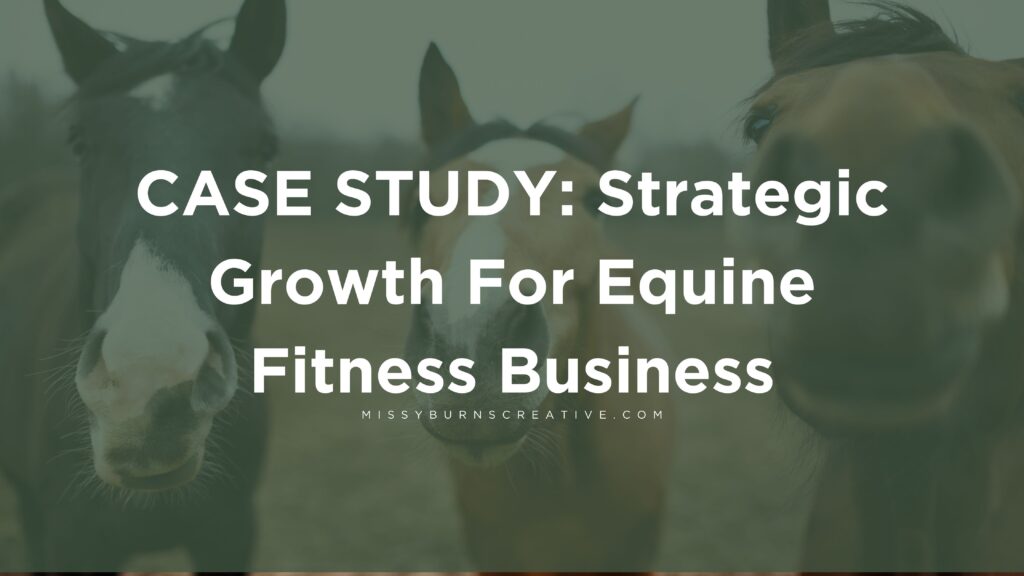 Strategic Growth For Equine Fitness Business