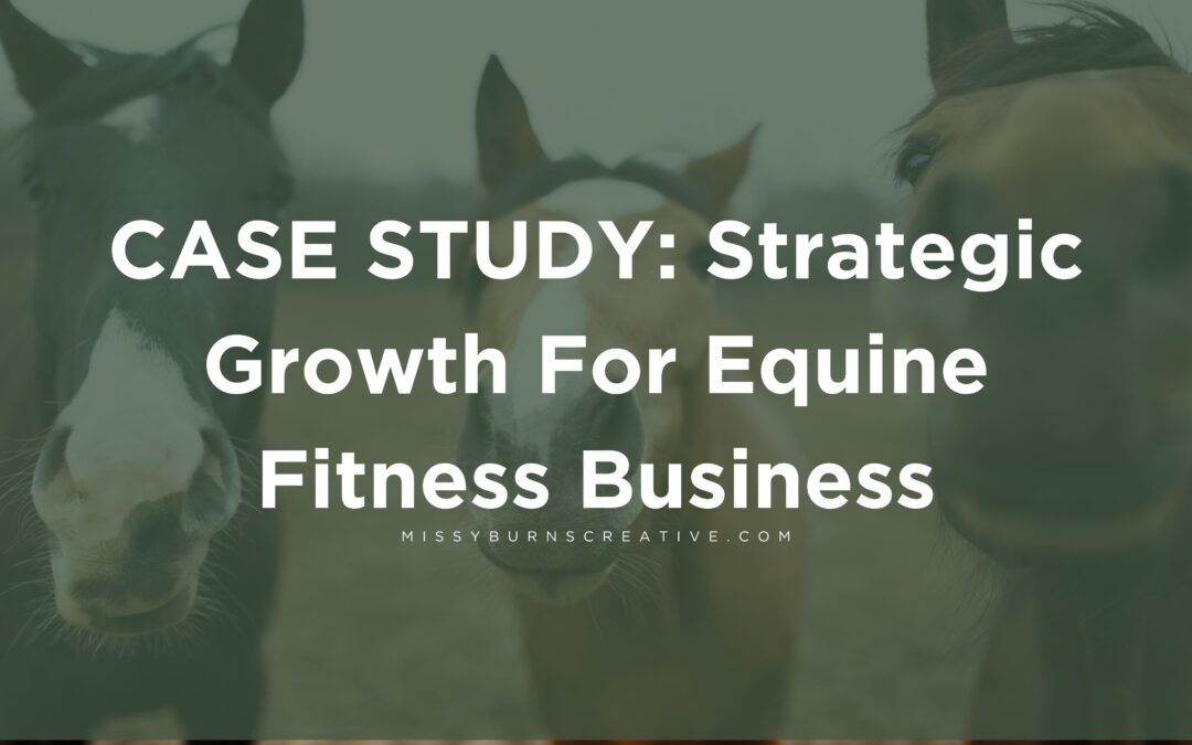 Strategic Growth For Equine Fitness Business