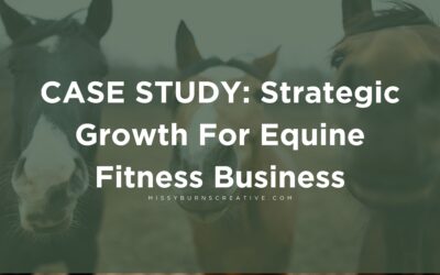 Strategic Growth For Equine Fitness Business