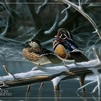 Park County Ducks Unlimited