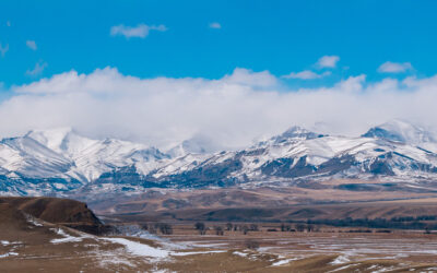 Craving Room to Breathe? Here’s Why Space Matters More Than You Think