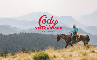 Regardless the Season, One Eye is Always on Summer