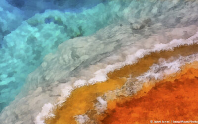 The Story Behind the Art: Black Pool