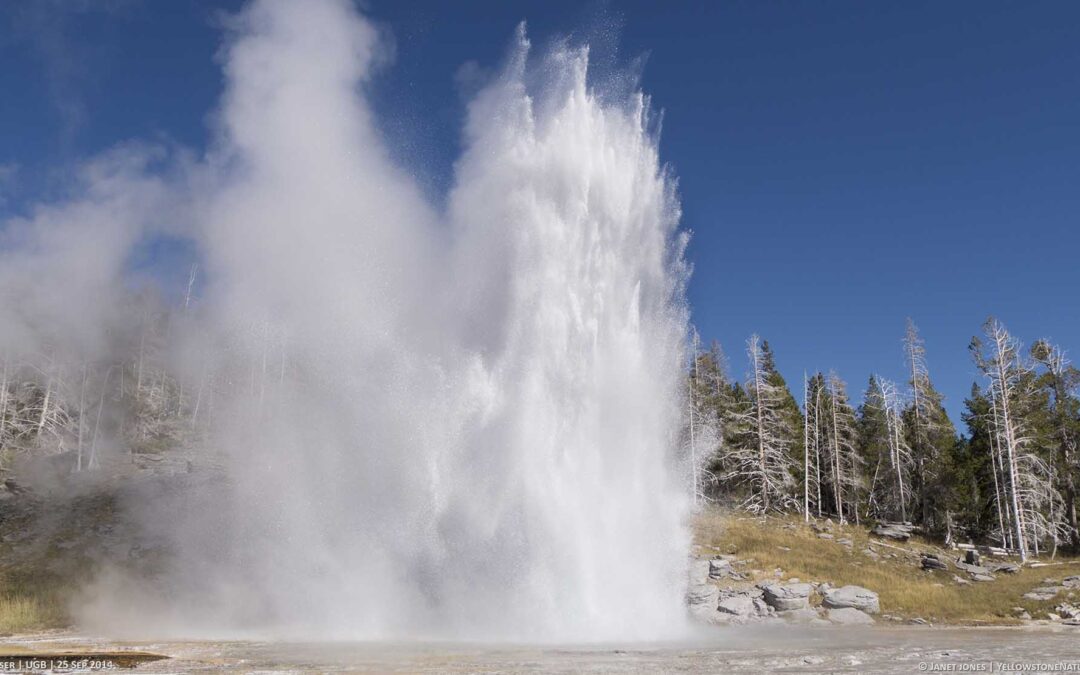 Get to Know Grand Geyser: It is certainly Grand!