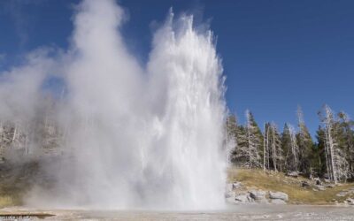 Get to Know Grand Geyser: It is certainly Grand!
