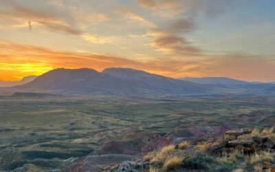 On Foot Along the Old Meeteetse Trail