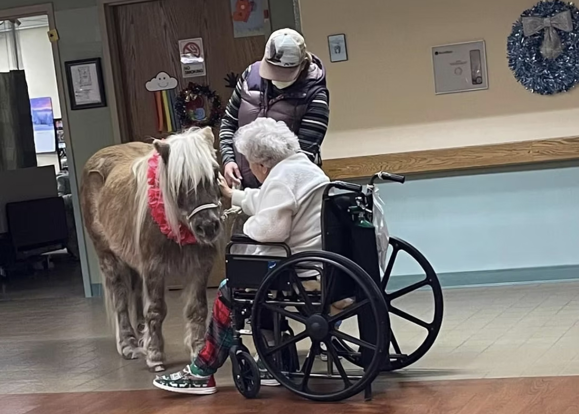 Wyohoofbeats bringing a  horse to a nursing home for a visit.