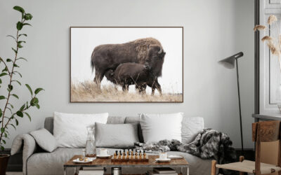 The Story Behind: A Mother’s Love