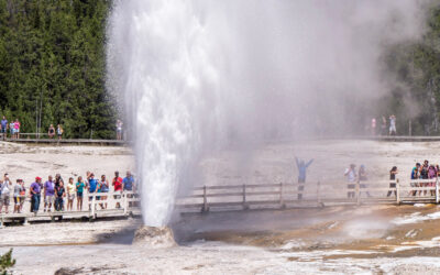 Get to Know Beehive Geyser