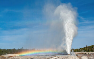 Glory Bee! There are rainbows to be found in Yellowstone
