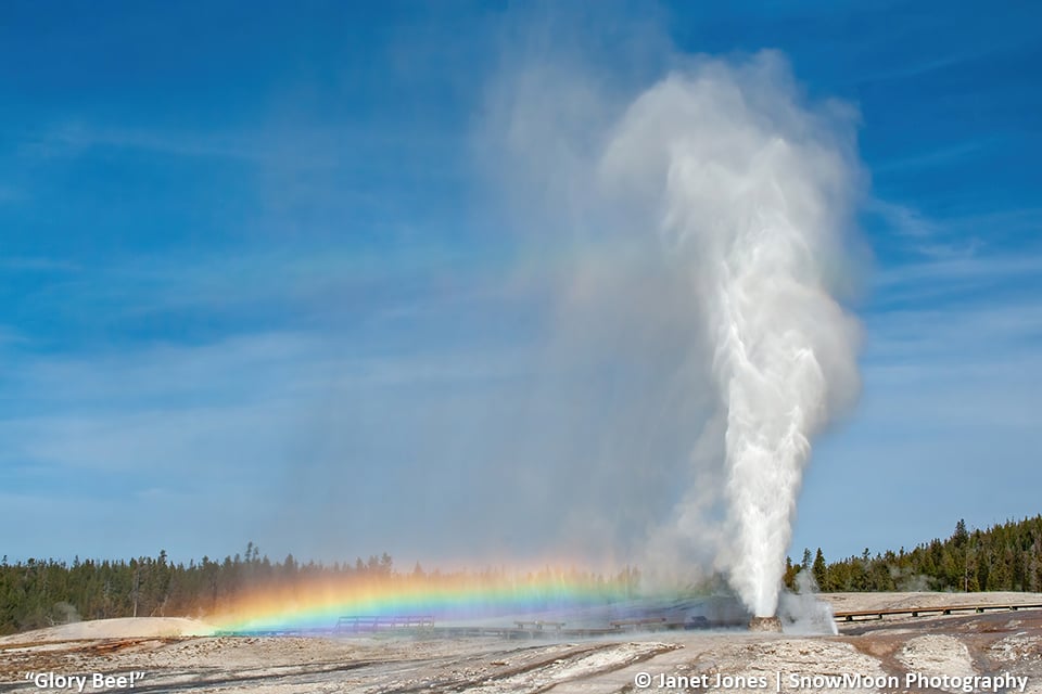 Glory Bee! There are rainbows to be found in Yellowstone