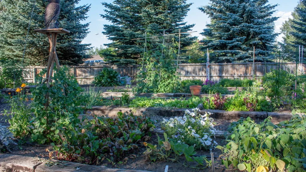 Zone 4 and Fabulous: Inside Cody's Hidden Garden Gems