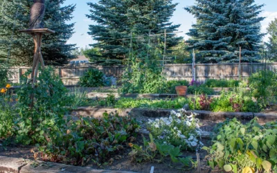 Zone 4 and Fabulous: Inside Cody’s Hidden Garden Gems