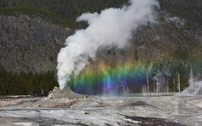 Get to know Castle Geyser