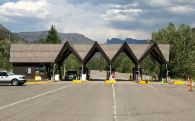 Update on the Webcams at the East Entrance