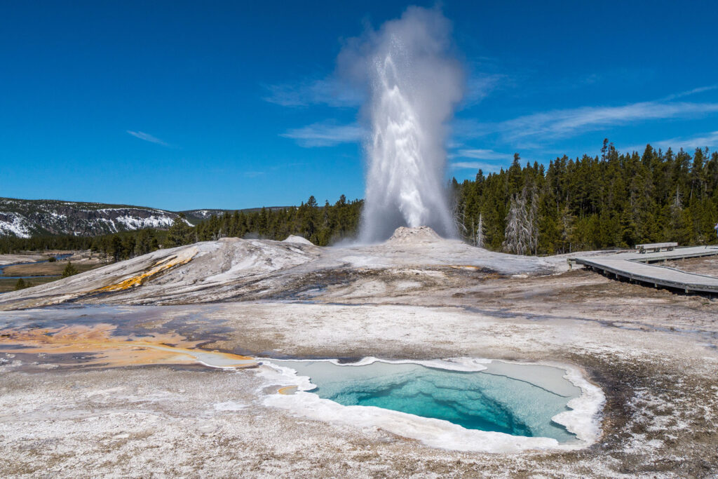 Get to Know Lion Geyser