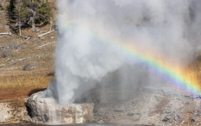 Get to Know Riverside Geyser
