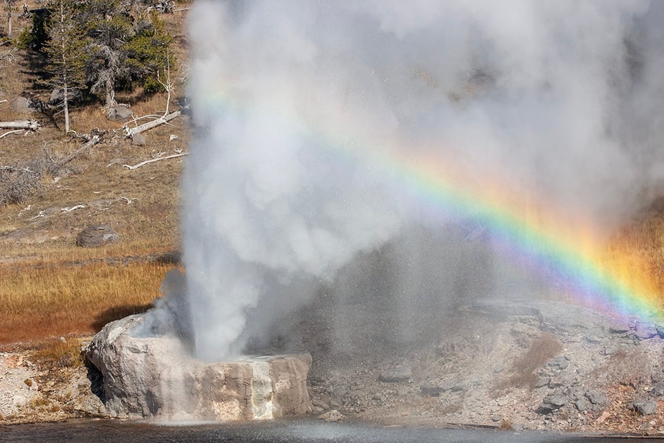 Get to Know Riverside Geyser