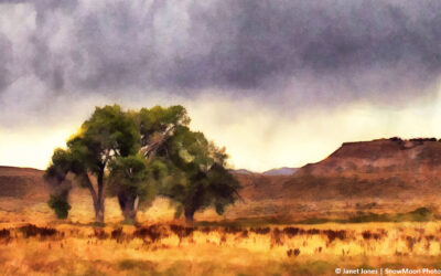 The Story Behind the Artwork: Wyoming Storm