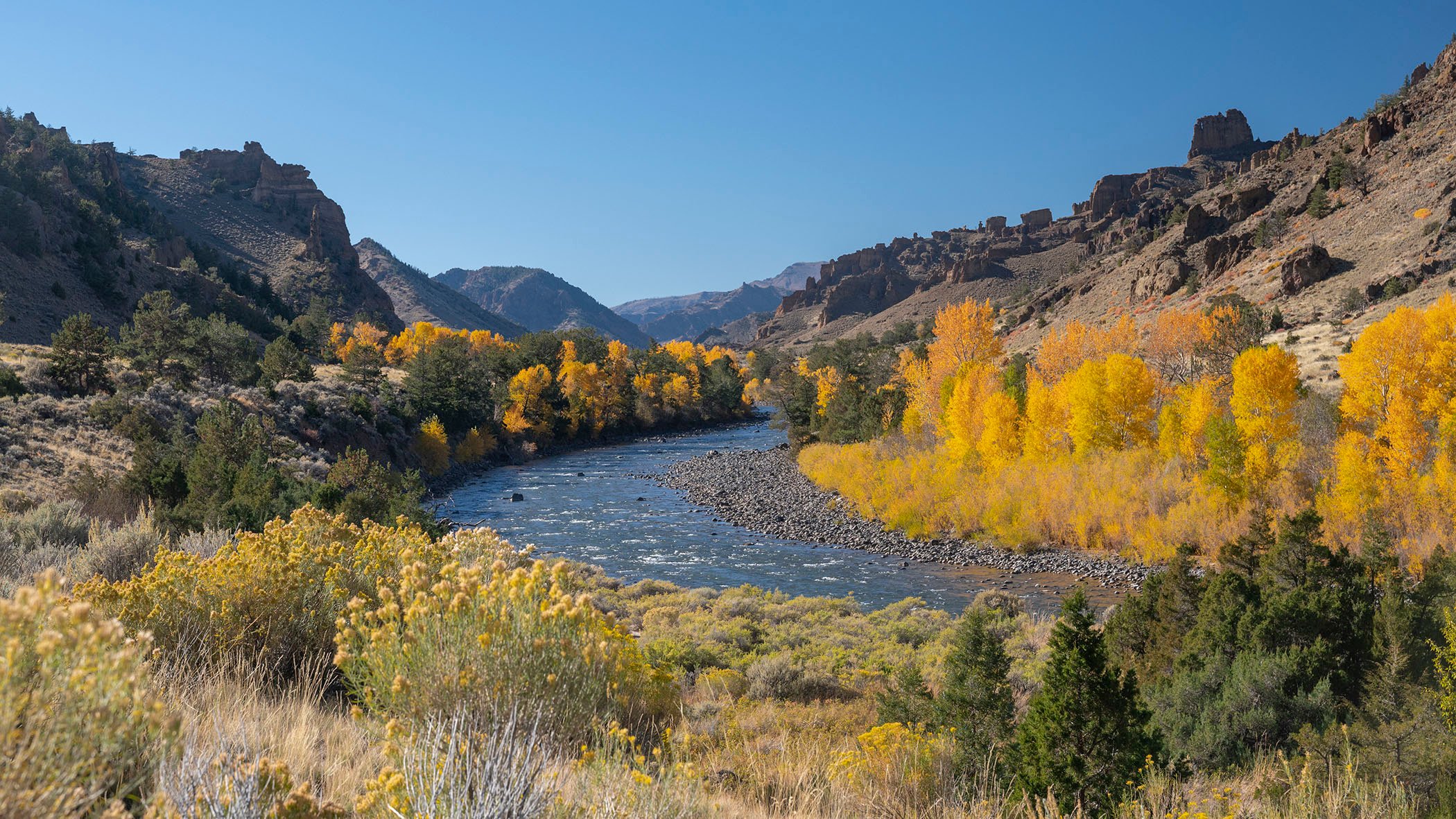 A glorious fall day in mid-October along the Cody road to Yellowstone.