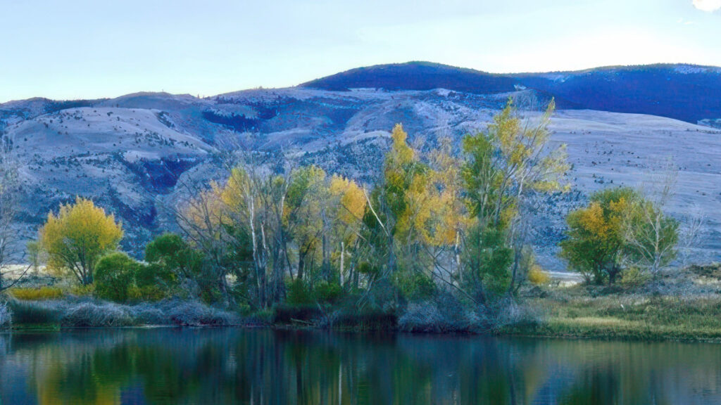 70 Years in Cody: The Life and Times of Martha Marston Newton