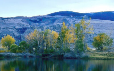 70 Years in Cody: The Life and Times of Martha Marston Newton