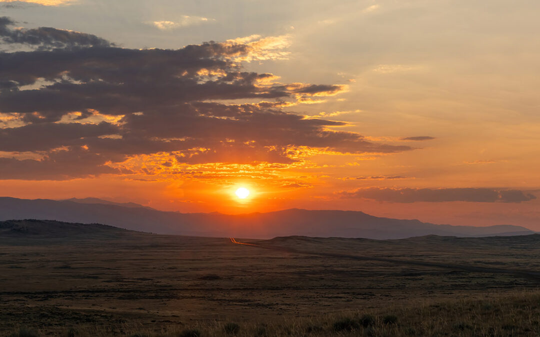 Thanksgiving Letter from the Editor