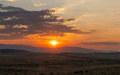 Thanksgiving Letter from the Editor