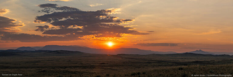 Thanksgiving Letter from the Editor