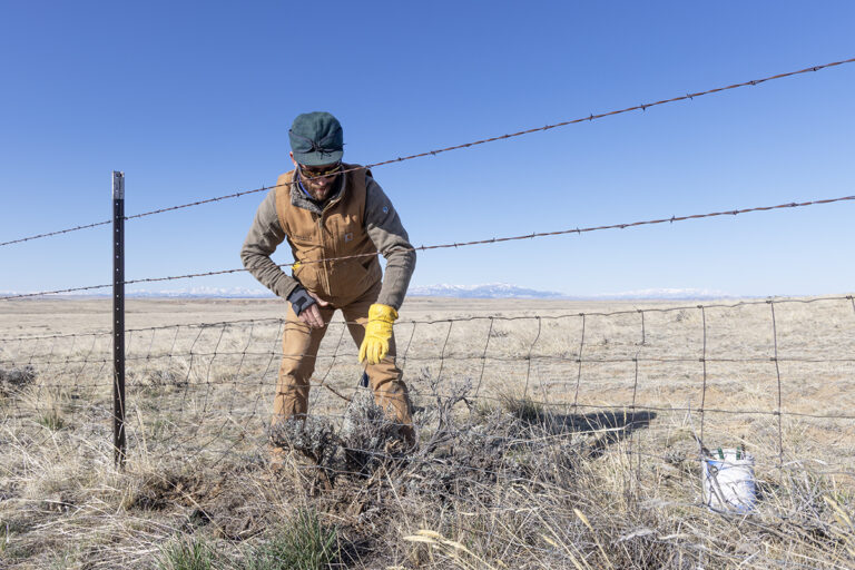Absaroka Fence Initiative: Saving Wildlife, Building Friendships
