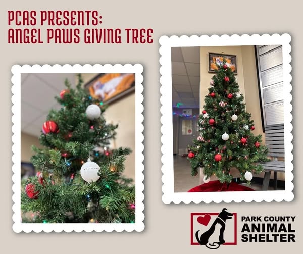 592331622_1279289060901043_6821928853656790113_n