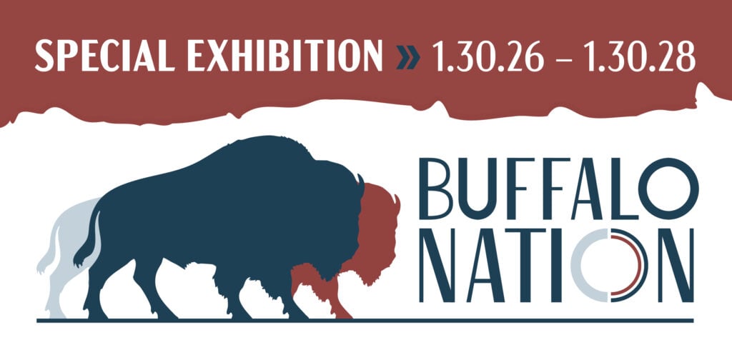 Buffalo Nation