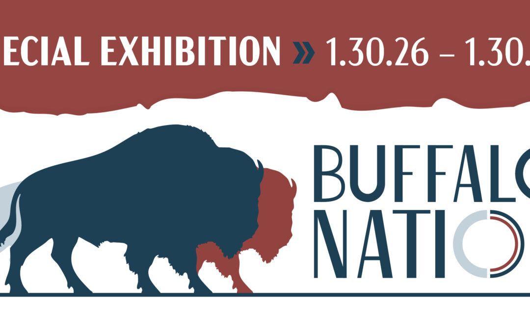 Buffalo Nation