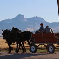 Northern Wyoming Livestock