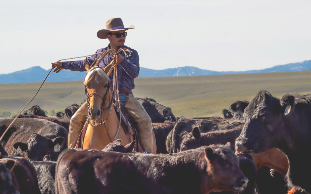 Riding for the Brand – Not the Circus