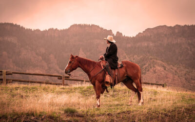 “Buffalo Daze” Takes the Trail Between Sheridan’s 1883 and 1923