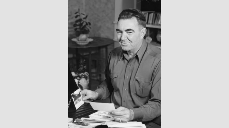 The History of Paul Stock