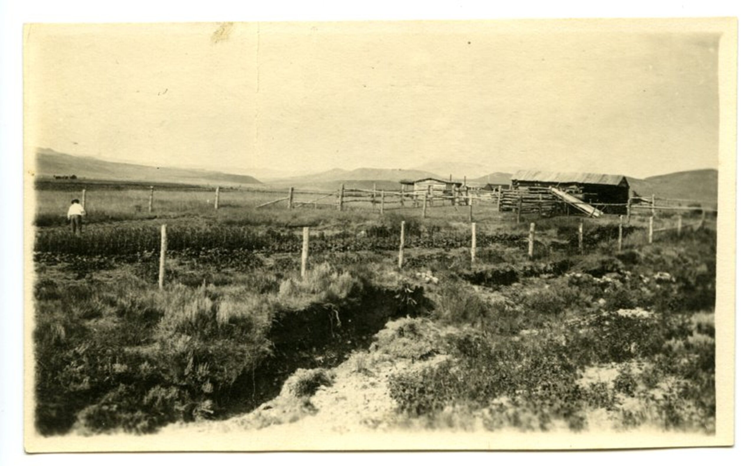Hitchcock Ranch, Western Heritage, Hitchcock Family