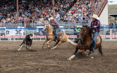 Big Horn Basin Residents Get First Access to Stampede Rodeo Tickets